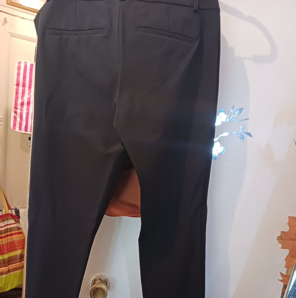 ANN TAYLOR PANTS